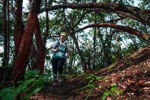 BIB: 
                            <button type="button" onclick="openModal(26346803)" class="btn btn-primary btn-sm float-right btn-popup" data-toggle="modal" data-target=".modal-high-quality">
                        <i class="fas fa-shopping-cart"></i> Add to Cart
                    </button>
                                            <button type="button" onclick="isThisMe(26346803, true)" class="btn btn-success btn-sm float-right btn-popup btn-isme hidden" data-toggle="tooltip" data-placement="bottom" title="นี่คือรูปของคุณใช่ไหม คลิกที่นี่เพื่อเอาเข้าอัลบั้ม">
                        <i class="fas fa-plus"></i> Add to album
                    </button>
                    <button type="button" onclick="isThisMe(26346803, false)" class="btn btn-warning btn-sm float-right btn-popup btn-isnotme hidden">
                        <i class="fas fa-ban"></i> Remove from album
                    </button>